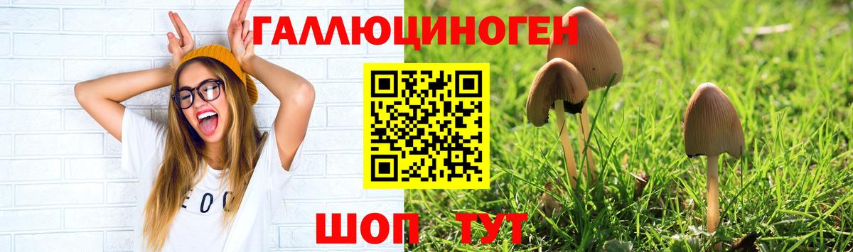 Галлюциногенные грибы Magic Shrooms Оренбург